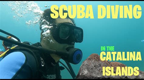 First Time Scuba Diving In The Catalinas Costa Rica Youtube