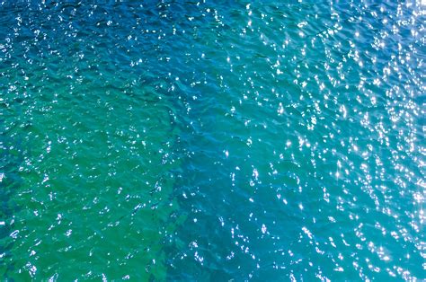 Free Images Sea Water Nature Ocean Drop Sunlight Ray Animal