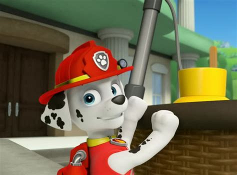 Marshall Marshall Paw Patrol Photo 40156676 Fanpop Page 3