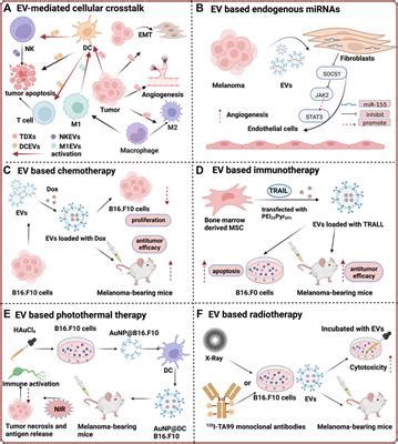 Frontiers Exploiting The Potential Of Extracellular Vesicles As