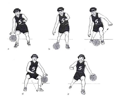 Teknik Dasar Dribble Dalam Permainan Bola Basket Diecoach