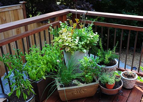 Deck Herb Garden