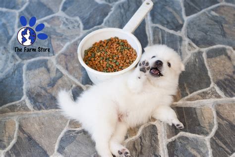 You can easily compare and choose from the 10 best large breed puppy foods for you. The 5 Best Large Breed Puppy Foods in 2020 Reviews
