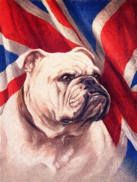 Pin On Winston Churchill British Bulldog Plus Him Self