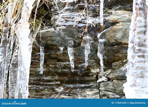 The Thawing Icicles With The Falling Water Drop In The Mountains Stock