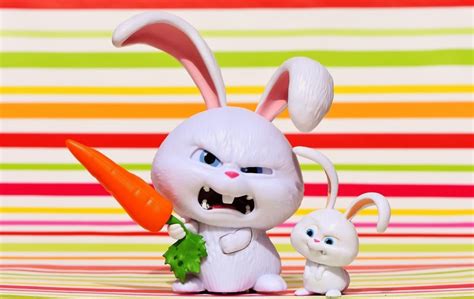 2 Rabbit Cartoon Character Free Image Peakpx