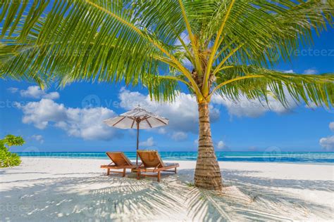 Beautiful Tropical Island Scenery Two Sun Beds Loungers Umbrella