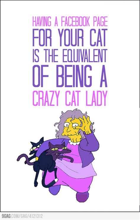 Im Sorry Crazy Cat Lady Quotes Crazy Cat Lady Cat Lady Quote