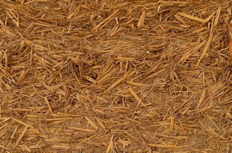 Free Images Branch Plant Hay Field Lawn Dry Rural Crop Soil