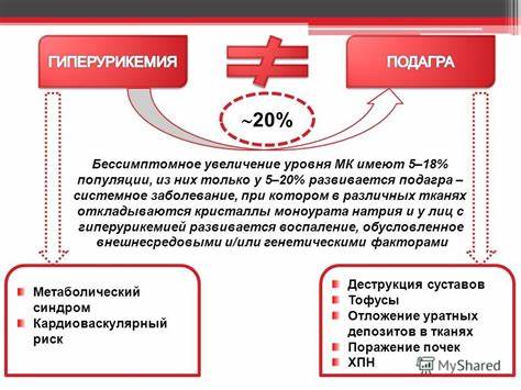 Гиперурикемия лечение диетой Гиперурикемия что это: Гиперурикемия: причины, симптомы, лечение Гиперурикемия что это: Гиперурикемия: причины, симптомы, лечение Гиперурикемия лечение диетой
