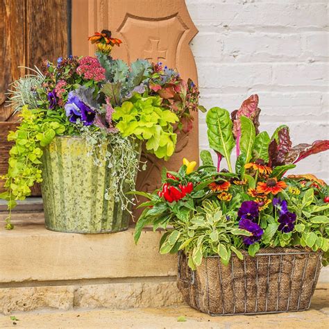 Fresh Fall Container Gardens Fall Container Gardens Fall Containers