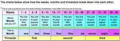 The american college of obstetricians and gynecologists (acog) as outlined the following terms for pregnancy, depending on when your baby is born: How Many months pregnant am I? - BabyCenter