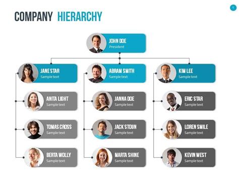 Organizational Chart And Hierarchy Organizational Chart