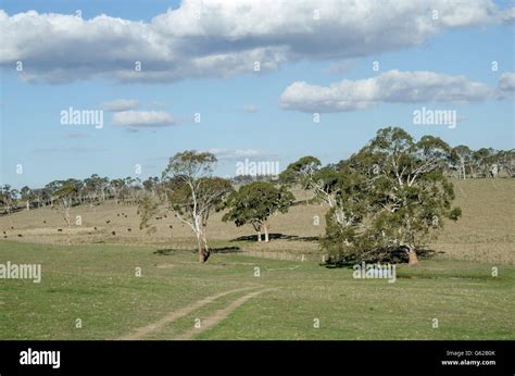 Pastoral Scene Hi Res Stock Photography And Images Alamy