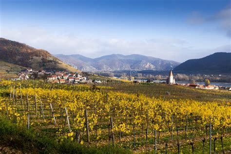 Weissenkirchen Wachau Valley Lower Austria Autumn Colored Leaves And