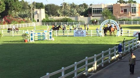 Corrico In Abu Dhabi Equestrian Club With Rider Mohammed Al Owais On