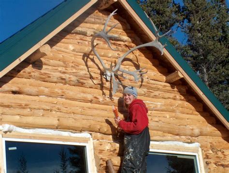 We did not find results for: Alaska Log Cabin in Winter - Montana Antler Works
