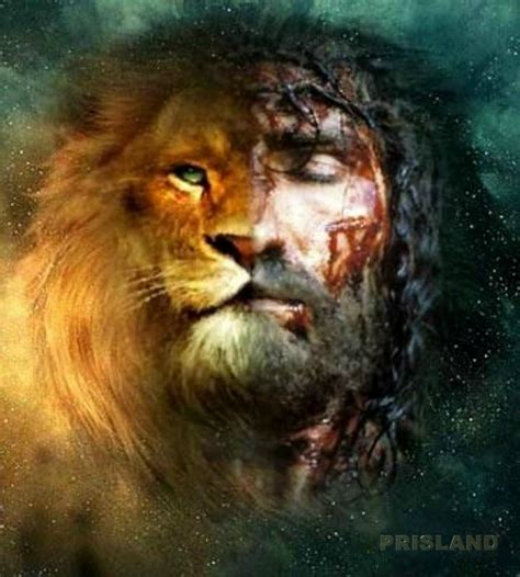 Jesus Our Savior Lion Of Judah Confirmation