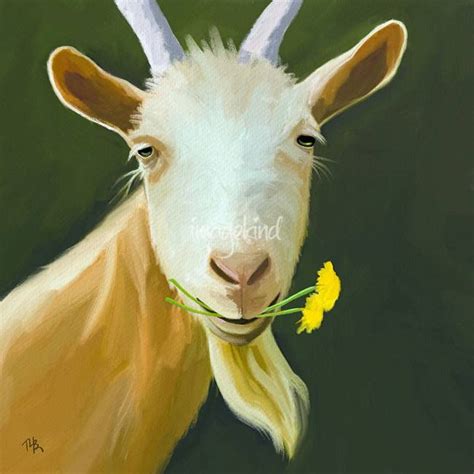 Stunning Goat Artwork For Sale On Fine Art Prints