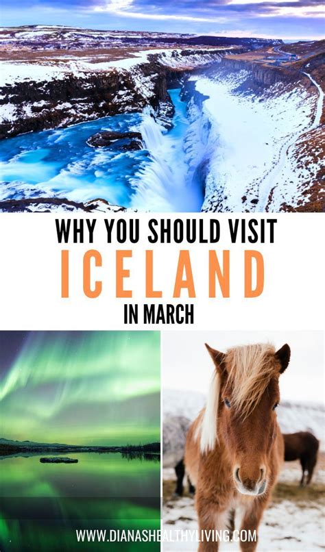 13 Reasons To Visit Iceland In March In 2020 Iceland Travel Iceland