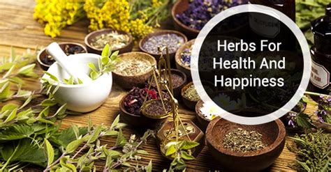 4 Herbs That Improve Your Health And Happiness Apollo Cannabis Clinic