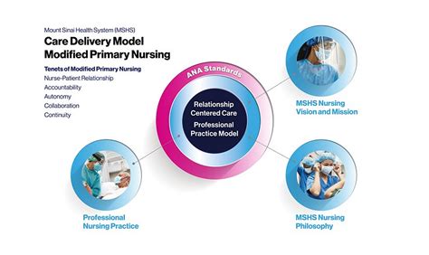 Professional Practice Model Mount Sinai South Nassau Nursing