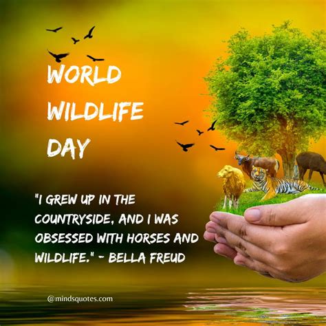 50 Famous World Wildlife Day Quotes Wishes And Messages