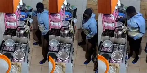 Maid Caught On Cctv Camera Urinating In The Kitchen On Her First Day Of Work Torizone