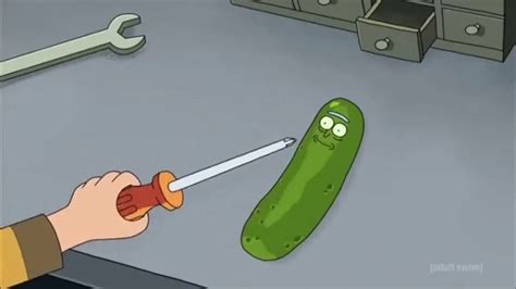 Morty Stabs Pickle Rick Youtube