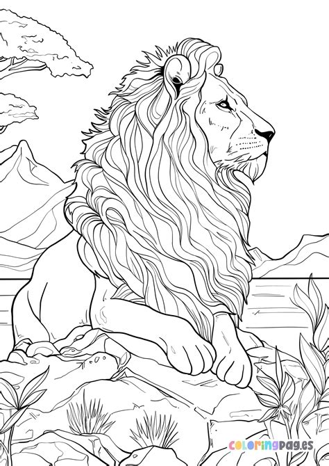A proud lion sitting on a rock coloring page in 2023 | Lion coloring