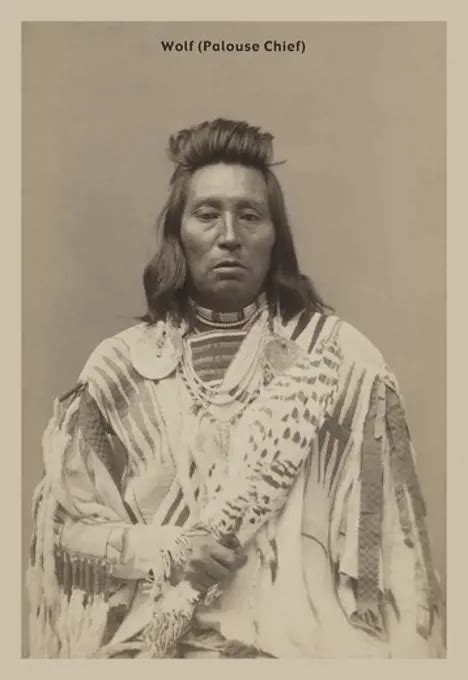 Son Of Chief Little Raven Native American Superstock