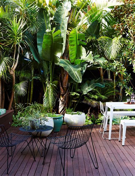 Build And Plan New Deck Palms Tropical Deck Lush And Green Small