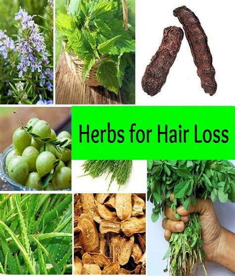 Herbs For Hair Loss Herbs For Hair Hair Loss Remedies Herbs