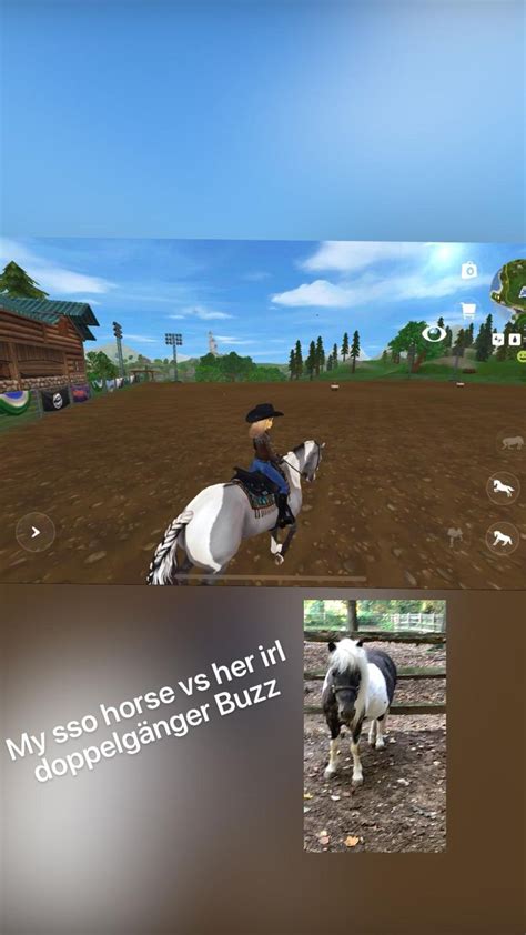 My Sso Horse Vs Her Irl Doppelgänger Buzz Horses Her Buzzed
