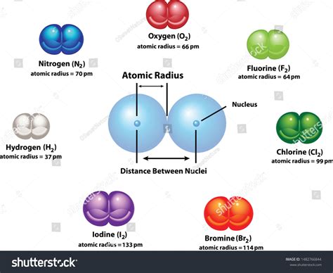 Diagram Explaining Atomic Radius Using Diatomic Stock Vector Royalty