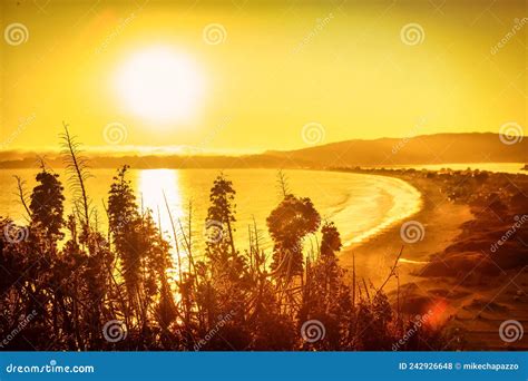 Stinson Beach California Stock Photo Image Of Coast 242926648