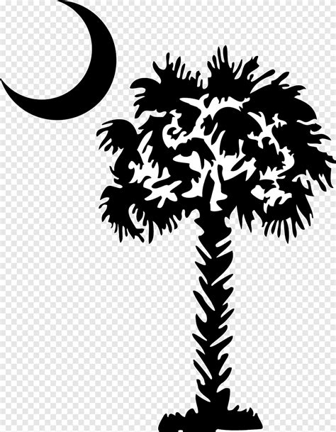Black And White Tree And Crescent Moon Illustration Palmetto Sabal