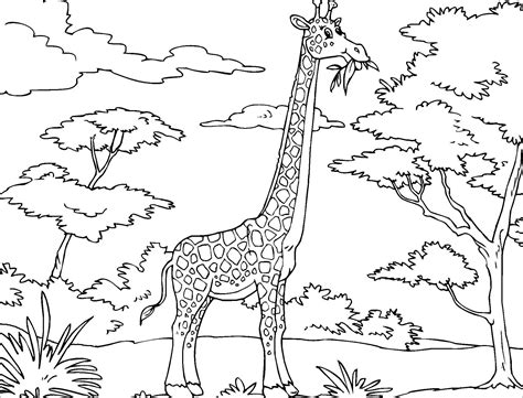 African Animals Coloring Page Coloringbay