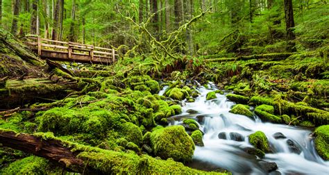Camping In Olympic National Park Campgrounds And Reservations Alltrips