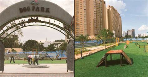 Dog Lovers Rejoice As Indias First Ever Dog Park Is All Set To Open