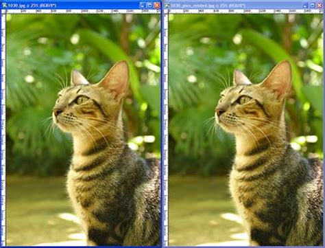 Select the pdf you want to convert to an image with the online converter. Image Compression | KMN - Digital Graphics
