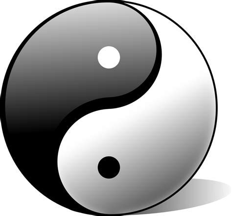 Le Symbole Yin Yang Signification Origine Et Histoire Kinésiologue