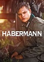 Habermann - Is Habermann on Netflix - FlixList