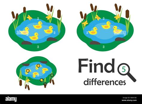 Find 5 Differences Game For Children Pond With Ducks In Cartoon Style