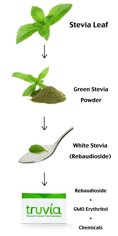 If You Have This Allergy You Absolutely Should Not Use Stevia Stevia