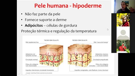 Biologia Tecido Epitelial Parte 3 Youtube