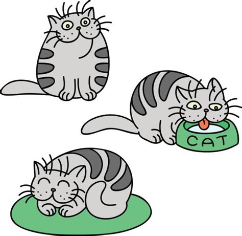 Drawing Of Fat Grey Cat Illustrations Royalty Free Vector Graphics