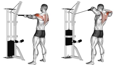 The 10 Best Exercises For Stronger Rhomboids Fitness Volt