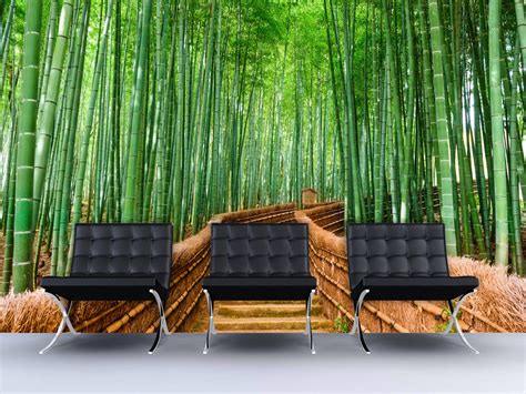 Japanese Bamboo Forest Arashiyama Woods Wall Mural 6043