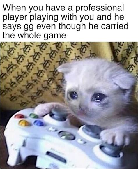 Sad Gaming Cat Meming Wiki